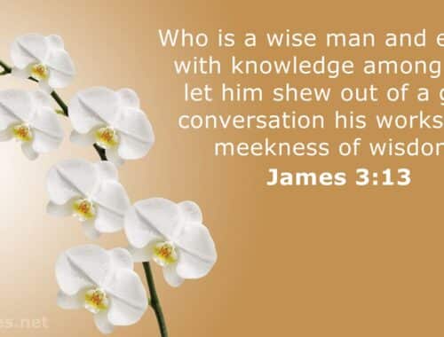 James 3:13